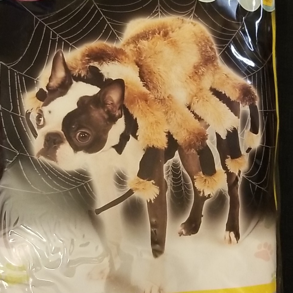 Halloween Pet Costume
